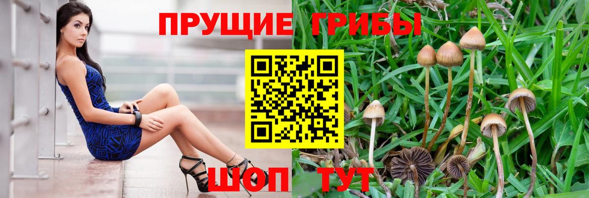 Электросталь  купить   Вход с VPN  Псилоцибиновые грибы мицелий 